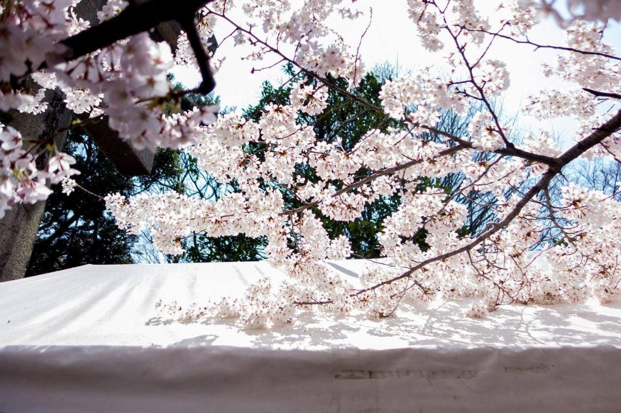 Tora Hotel Tokyo-Kitaueno 寅ホテル北上野 Exterior foto